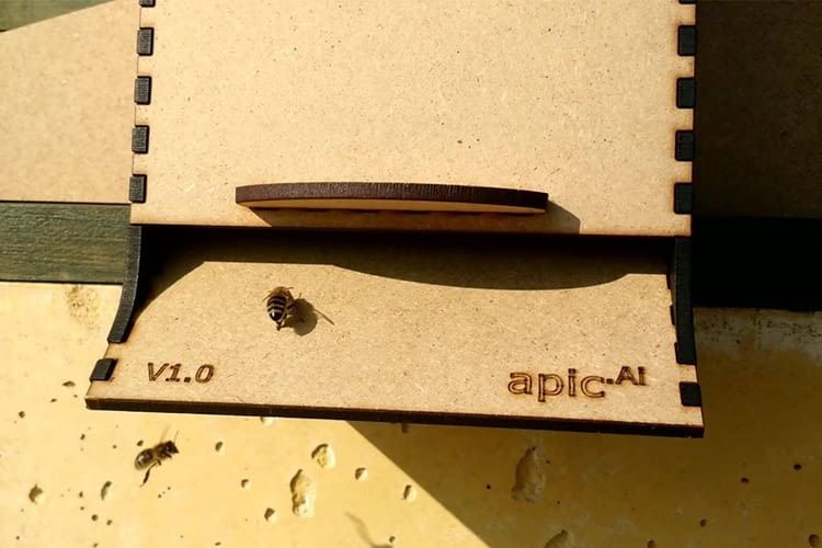 Aus- und einfliegende Bienen werden von apic.ai ebenso erfasst wie Polleneintrag und eventuelle Milben Aus- und einfliegende Bienen werden von apic.ai ebenso erfasst wie Polleneintrag und eventuelle Milben