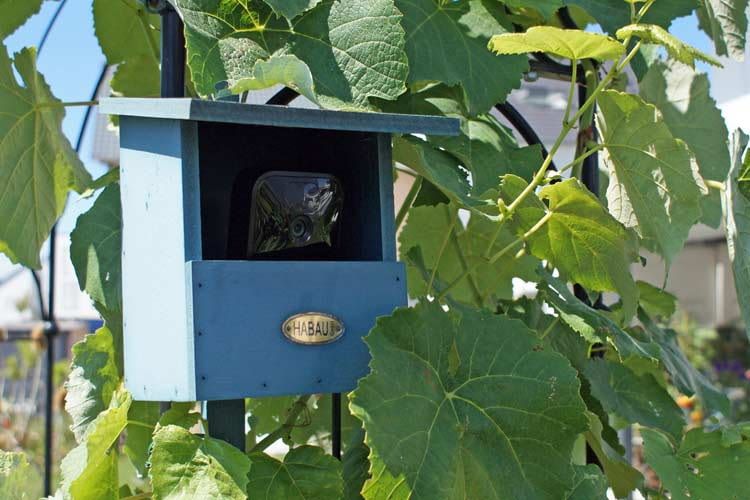Diese WLAN-Kamera überwacht sehr diskret den Garten unserer Tester Diese WLAN-Kamera überwacht sehr diskret den Garten unserer Tester