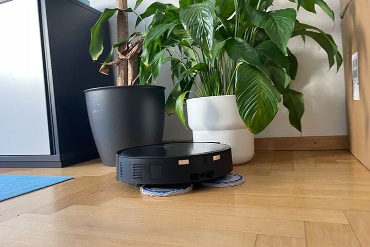 DEEBOT T50 MAX PRO OMNI im Test: Souveräne Reinigung rund um Hindernisse – auch bei Pflanzen kein Problem DEEBOT T50 MAX PRO OMNI im Test: Souveräne Reinigung rund um Hindernisse – auch bei Pflanzen kein Problem