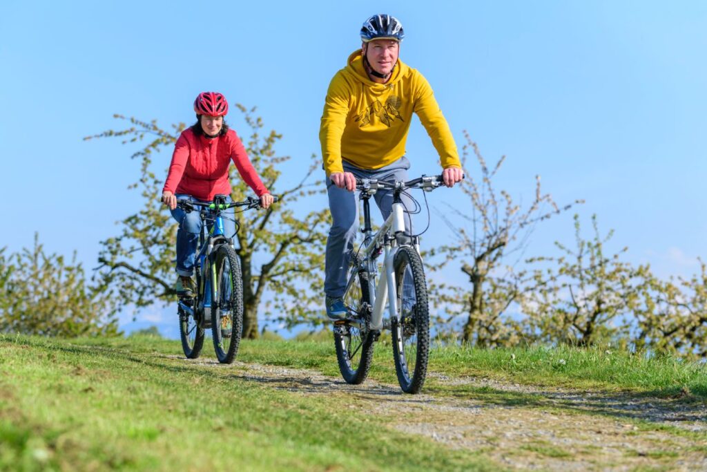 E-Bike online kaufen: Die beliebtesten Modelle im Direktvergleich