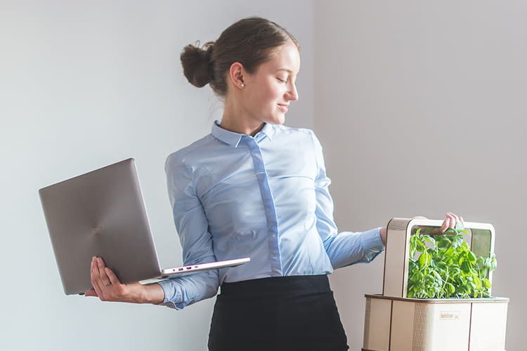 Die GreenBox lässt sich ganz einfach ins Smart Home integrieren Die GreenBox lässt sich ganz einfach ins Smart Home integrieren