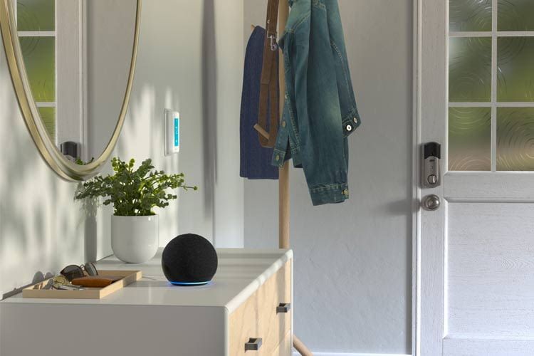 Alle Alexa-Listen sind online einsehbar, können aber auch ausgedruckt werden Alle Alexa-Listen sind online einsehbar, können aber auch ausgedruckt werden