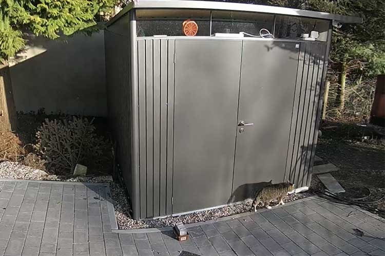 Die Objekterkennung funktionierte im Test gut und die Katze löste keinen Fehlalarm aus Die Objekterkennung funktionierte im Test gut und die Katze löste keinen Fehlalarm aus