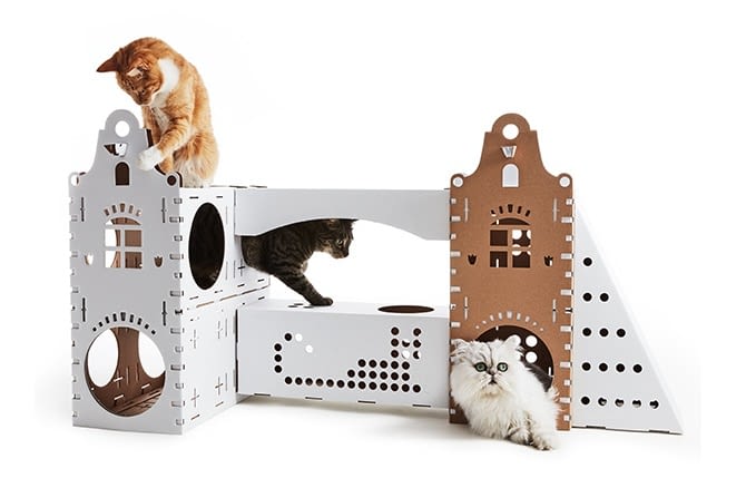 Smarte Katzen lassen sich ihr Eigenheim individuell anfertigen Smarte Katzen lassen sich ihr Eigenheim individuell anfertigen