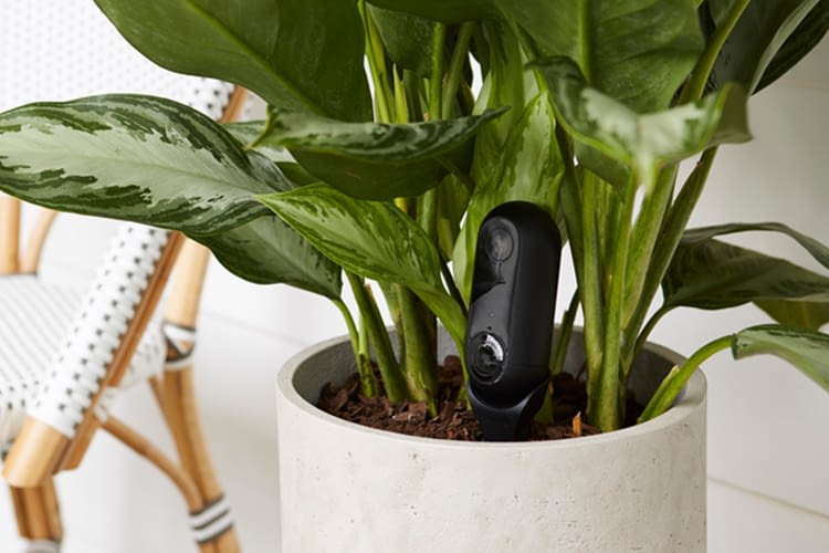 Für unauffälliges Anbringen im Grünen: Canary Flex Stake Mount Für unauffälliges Anbringen im Grünen: Canary Flex Stake Mount