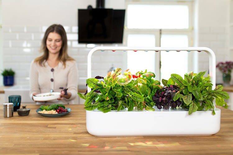 Dekorativ und lecker – Der Click & Grow Garden 9 Dekorativ und lecker – Der Click & Grow Garden 9