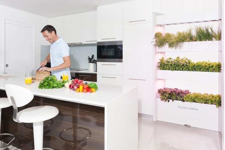 Vertikaler Garten in der Küche? Click & Grow macht’s möglich Vertikaler Garten in der Küche? Click & Grow macht’s möglich