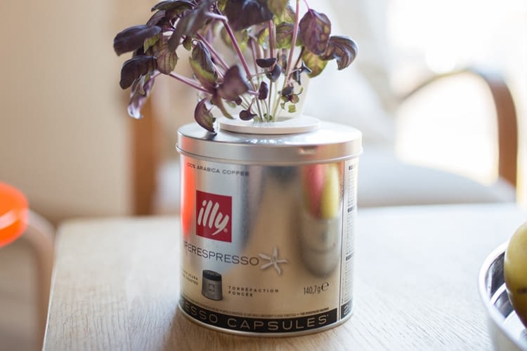 Kreativ austoben mit dem DIY-Set von Click & Grow Kreativ austoben mit dem DIY-Set von Click & Grow