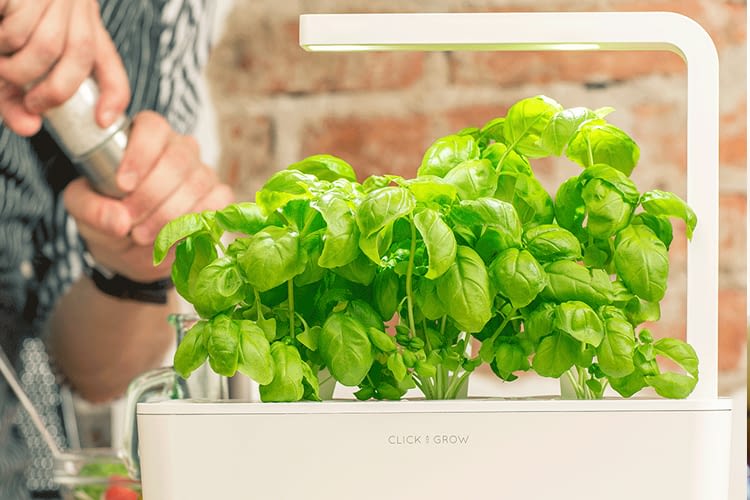 Click & Grow Smart Herb Garden 3 mit flexibler LED-Beleuchtung Click & Grow Smart Herb Garden 3 mit flexibler LED-Beleuchtung