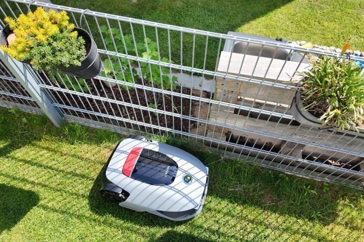 An der Rasenkante sind die Fortschritte im Vergleich zum Vorgänger deutlich zu sehen, perfekt ist der A1 Pro aber hier noch lange nicht An der Rasenkante sind die Fortschritte im Vergleich zum Vorgänger deutlich zu sehen, perfekt ist der A1 Pro aber hier noch lange nicht