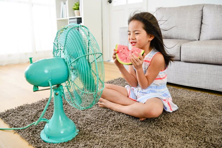 Kleinere Kinder sollten Ventilatoren nicht unbeaufsichtigt nutzen Kleinere Kinder sollten Ventilatoren nicht unbeaufsichtigt nutzen