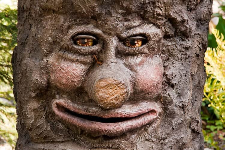 Beim Zauberwald Skill weiß man nie, von wem der nächste Hinweis kommt Beim Zauberwald Skill weiß man nie, von wem der nächste Hinweis kommt