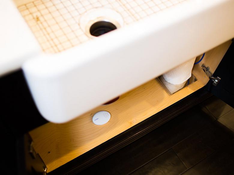 Roost Smart Water and Freeze Detector Roost Smart Water and Freeze Detector