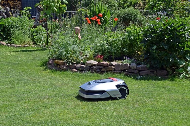 Unsere Expertentipps helfen dabei den Garten auch im Hochsommer grün zu halten Unsere Expertentipps helfen dabei den Garten auch im Hochsommer grün zu halten