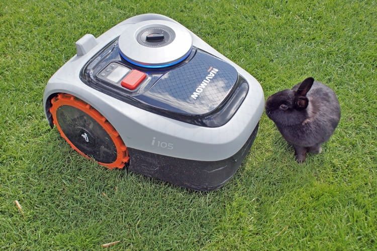 Zum Glück ist dieser drahtlose Mähroboter gerade außer Betrieb Zum Glück ist dieser drahtlose Mähroboter gerade außer Betrieb