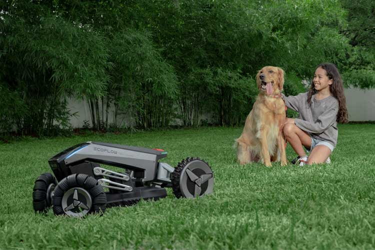 Der Mähroboter EcoFlow Blade ist für große Gärten ausgelegt Der Mähroboter EcoFlow Blade ist für große Gärten ausgelegt