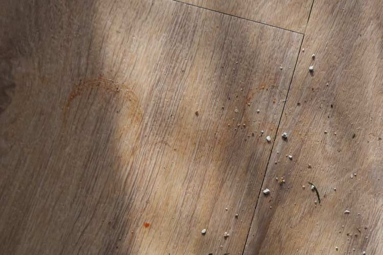 Selbst nach dem Härtetest des Putzroboters blieben kaum Rückstände übrig Selbst nach dem Härtetest des Putzroboters blieben kaum Rückstände übrig