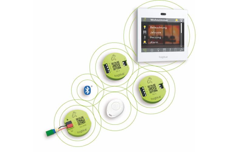 Die batteriebetriebe Version der Frogs kann bis zu zehn Jahre laufen Die batteriebetriebe Version der Frogs kann bis zu zehn Jahre laufen