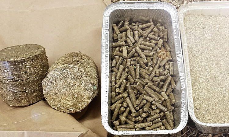 GRASPAP ist die Basis für die nachhaltige Erzeugung von Graspapier GRASPAP ist die Basis für die nachhaltige Erzeugung von Graspapier