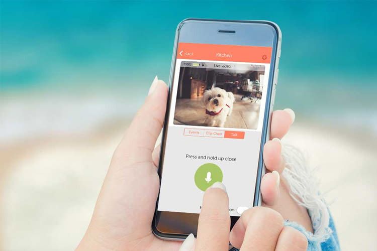Per App wissen wir schnell, ob es allen Lieben zuhause gut geht Per App wissen wir schnell, ob es allen Lieben zuhause gut geht