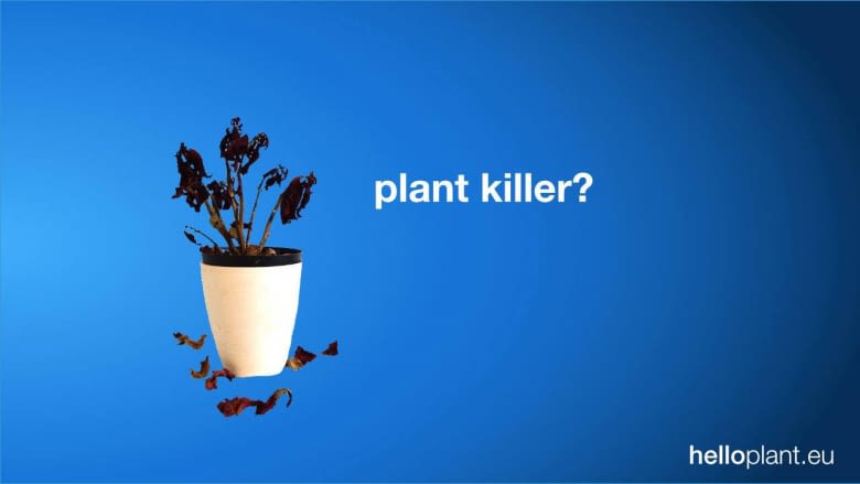 helloplant hilft Menschen mit braunem Daumen helloplant hilft Menschen mit braunem Daumen