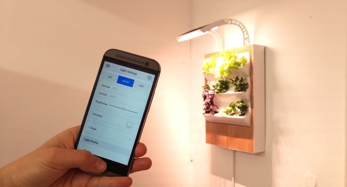 Die Intensität der LED-Lichtbestrahlung lässt sich über die Herbert-App regeln Die Intensität der LED-Lichtbestrahlung lässt sich über die Herbert-App regeln