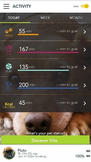In der Kippy-App festlegen, welche Bewegungsziele erreicht werden sollen In der Kippy-App festlegen, welche Bewegungsziele erreicht werden sollen
