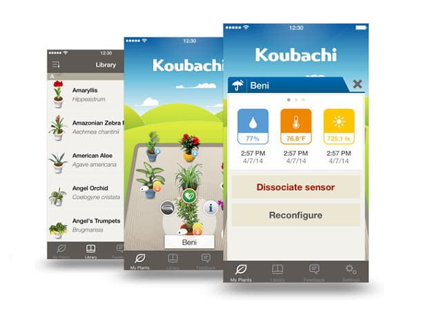 Koubachi Plant @ koubachi.com/de Koubachi Plant @ koubachi.com/de