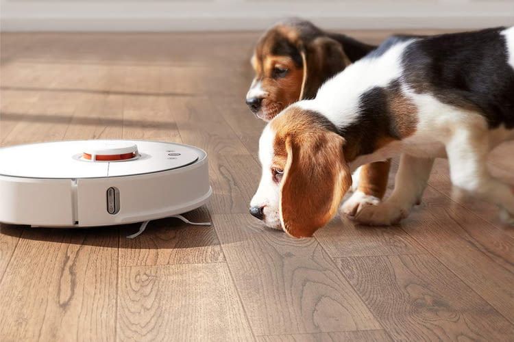 Auch Tierhaare kann Roborock S5 einsammeln Auch Tierhaare kann Roborock S5 einsammeln