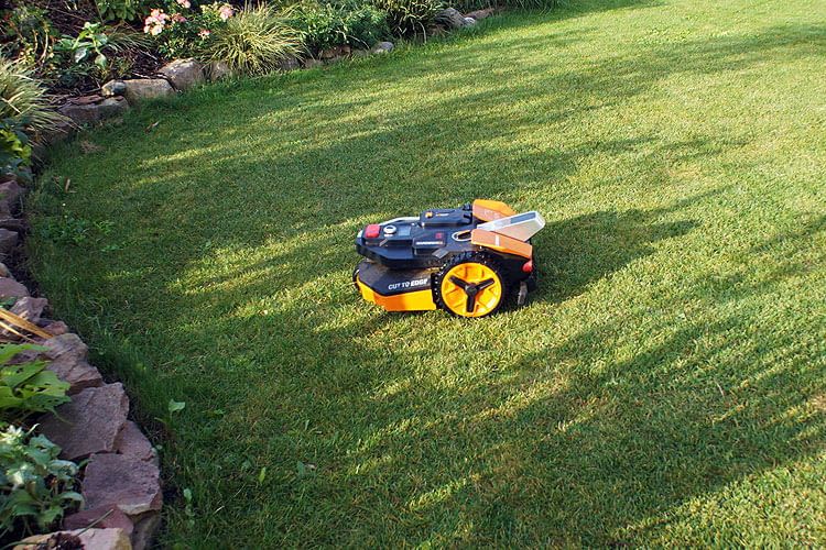 Dieses Rasenschnittbild kann sich sehen lassen Dieses Rasenschnittbild kann sich sehen lassen