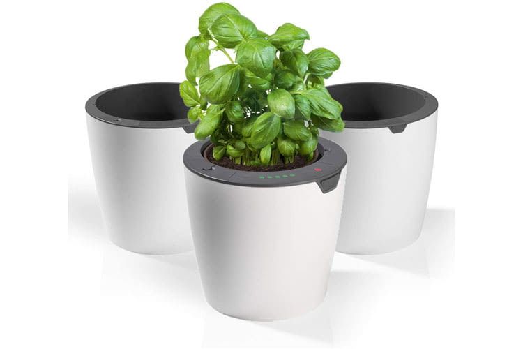 Dank dem smarten Blumentopf LAZY LEAF gehören vertrocknete Pflanzen der Vergangenheit an Dank dem smarten Blumentopf LAZY LEAF gehören vertrocknete Pflanzen der Vergangenheit an