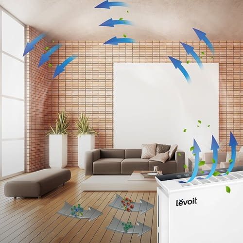 Günstig, aber effektiv: Luftreiniger Levoit Air Purifier Günstig, aber effektiv: Luftreiniger Levoit Air Purifier