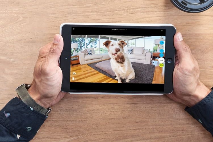 Per App können die Aufnahmen der Circle 2 Sicherheitskamera abgerufen werden Per App können die Aufnahmen der Circle 2 Sicherheitskamera abgerufen werden