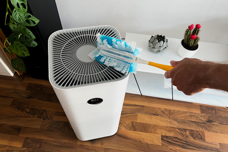 Luftreiniger gegen Staub & Hausstaubmilben: Wie sinnvoll sind sie wirklich?