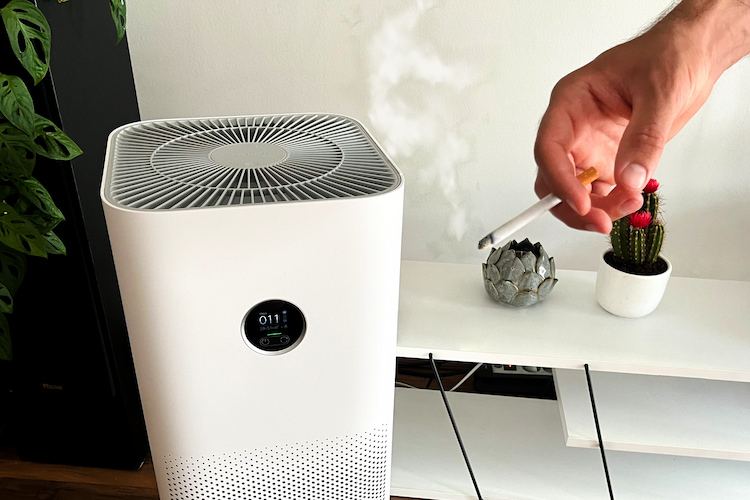Rauch raus, frische Luft rein – Top-Luftreiniger Test 2026