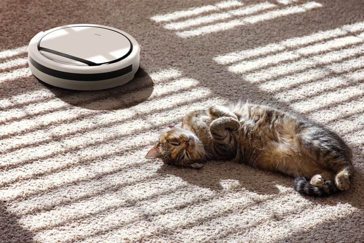 Die zwei rotierenden Bürsten von MD 18500 sind optimiert für die Beseitigung von Tierhaaren Die zwei rotierenden Bürsten von MD 18500 sind optimiert für die Beseitigung von Tierhaaren