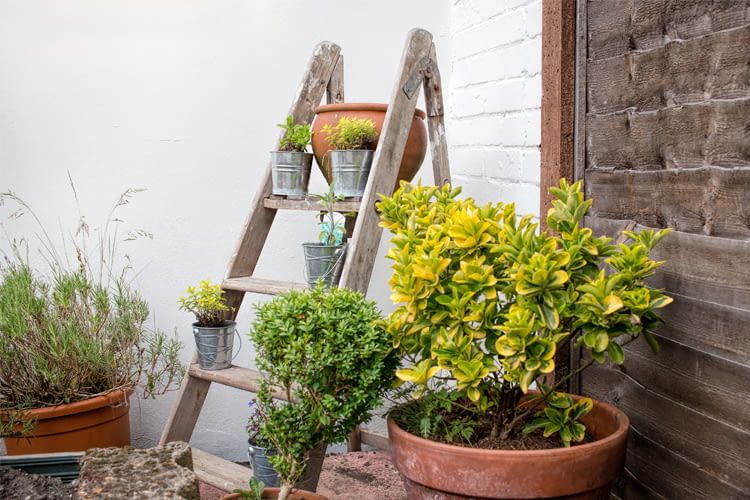 Auch Deko-Objekte können von Einbrechern als Kletterhilfe missbraucht werden Auch Deko-Objekte können von Einbrechern als Kletterhilfe missbraucht werden