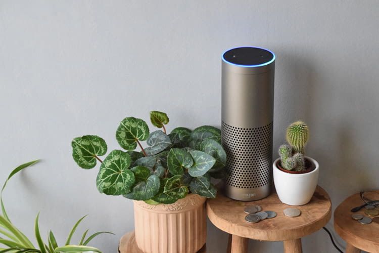 Wer mehr will, als nur ein paar Zimmerpflanzen, kann über Alexa auf sein MyAcker-Projekt zugreifen Wer mehr will, als nur ein paar Zimmerpflanzen, kann über Alexa auf sein MyAcker-Projekt zugreifen