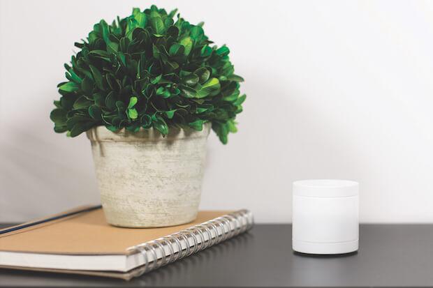 Neue Myfox Bewegungsmelder (Motion Sensor) Neue Myfox Bewegungsmelder (Motion Sensor)