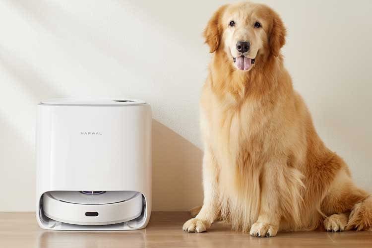 Mit dem Freo Saug- und Wischroboter haben auch Tierbesitzer weniger Arbeit mit der Bodenreinigung Mit dem Freo Saug- und Wischroboter haben auch Tierbesitzer weniger Arbeit mit der Bodenreinigung