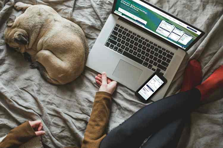 Bei Ostrom lässt sich alles in der eigenen App managen Bei Ostrom lässt sich alles in der eigenen App managen