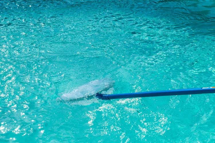 Ein Kescher ist für grobe Verunreinigungen ausreichend, für kleinen Schmutz braucht es eine Sandfilteranlage Ein Kescher ist für grobe Verunreinigungen ausreichend, für kleinen Schmutz braucht es eine Sandfilteranlage