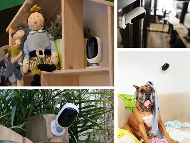 Alle Bewohner, Familienmitglieder, Haustiere, Lieferboten und Einbrecher immer im Blick mit der Argus Alle Bewohner, Familienmitglieder, Haustiere, Lieferboten und Einbrecher immer im Blick mit der Argus