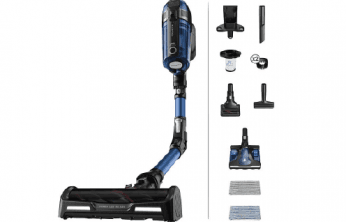 Rowenta RH98C0 X-Force Flex