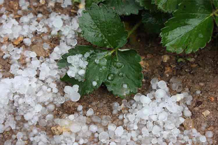 Die Wetterstation warnt uns vor Unwettern und Hagelschäden Die Wetterstation warnt uns vor Unwettern und Hagelschäden