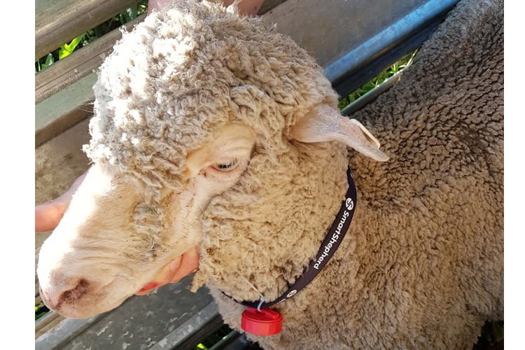 Die Pods sind mehrfach und für verschiedene Tiergruppen verwendbar Die Pods sind mehrfach und für verschiedene Tiergruppen verwendbar
