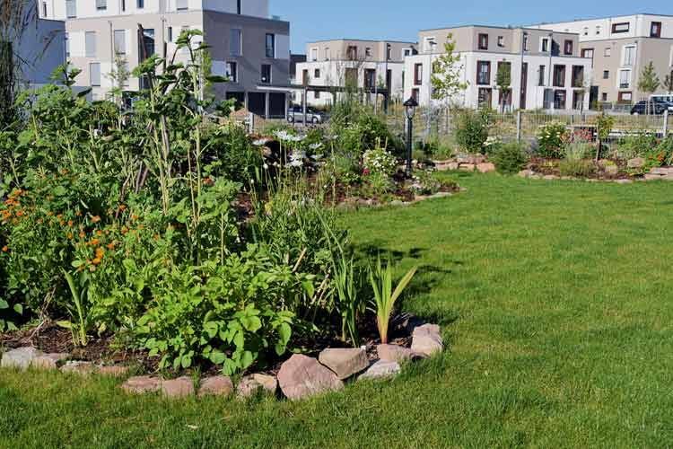 Dieser Garten ist für einen Mähroboter mit Kantenfunktion ungeeignet Dieser Garten ist für einen Mähroboter mit Kantenfunktion ungeeignet