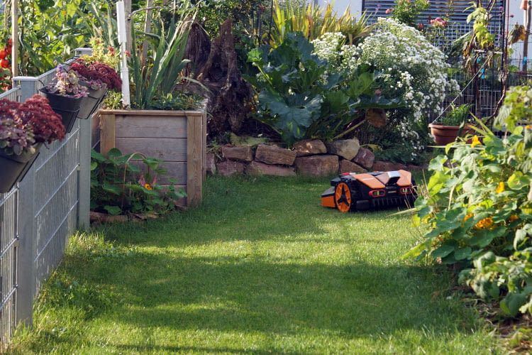 In diesem Rasenkorridor blieb im Test links und rechts etwas Gras stehen In diesem Rasenkorridor blieb im Test links und rechts etwas Gras stehen