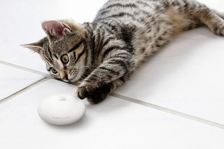 Der FIBARO Flood Sensor warnt, bevor alles unter Wasser steht Der FIBARO Flood Sensor warnt, bevor alles unter Wasser steht