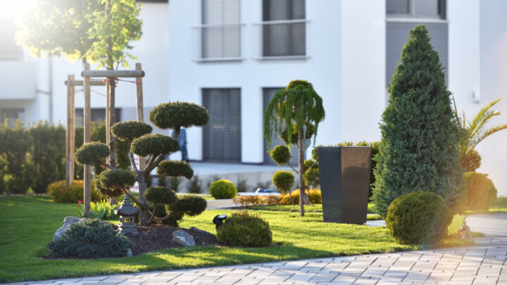 Hitze, Dürre, Starkregen: Die besten Pflanzen für den klimafesten Garten 2026